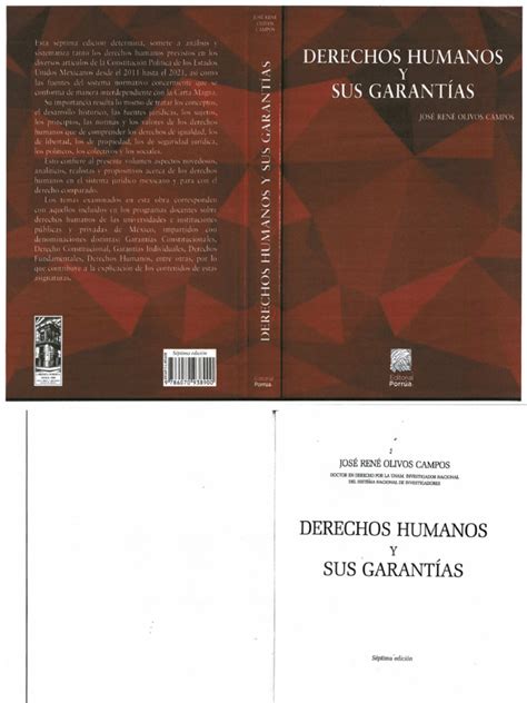 Libro Derechos Humanos Y Sus Grantias 1 42 Pdf