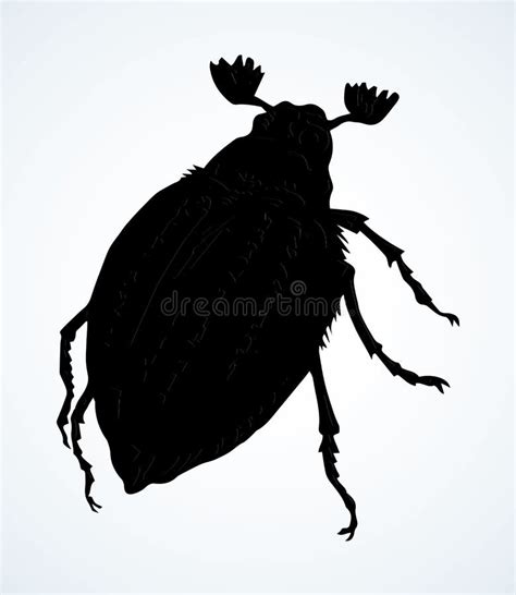 Chafer Vector Drawing Of A Big Beetle Stock Vector Illustration Of