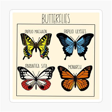 Butterfly Chart Sticker By Sophia0424 Stickers Butterfly Vinyl Sticker