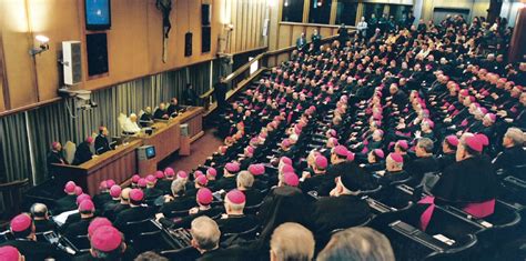 Synod O Synodalit O Ek Van Zm Ny V Katolick C Rkvi N Bo Ensk