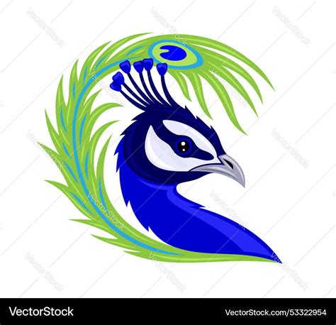 Beautiful Peacock Bird Royalty Free Vector Image