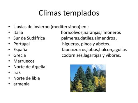 Ppt Los Climas En El Mundo Powerpoint Presentation Free Download