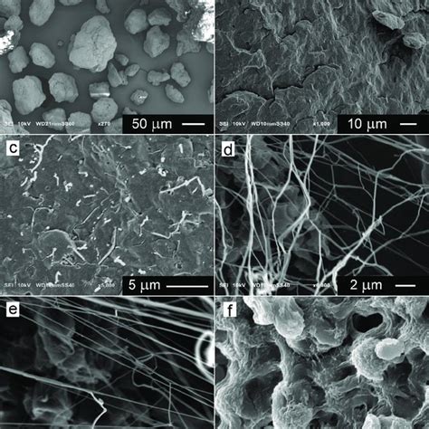 SEM Micrographs Of PTFE Powder A Cryo Fracture Surface Of Neat PP