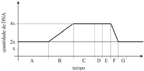 UNICESUMAR ATIVIDADE 3 BIOLOGIA E BIOQUÍMICA HUMANA 53 2024