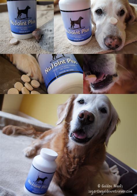 NuVet Review: Glucosamine and Chondroitin on NuVet Joint Plus - Golden ... 