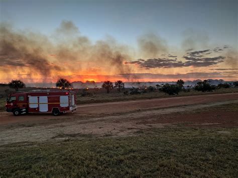 Incêndio consome 30 hectares de vegetação e atinge viveiro em Araguari