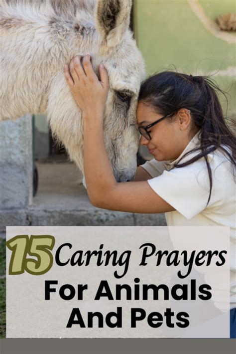 15 Caring Prayers For Animals And Pets Abundant Prayers