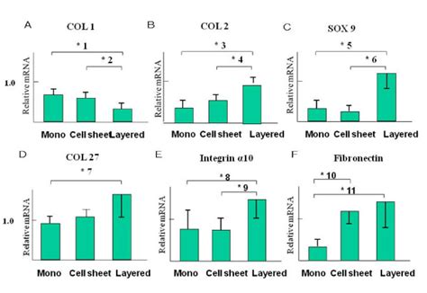 Relative Expression Of Mrna The Y Axis Shows The Mrna Expression Download Scientific Diagram