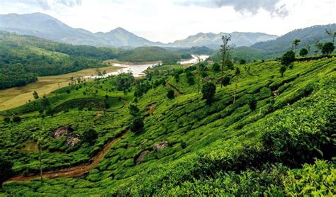 Book A Kerala Tour To Indulge In The Aroma Of Spice Plantation India Travel Blog