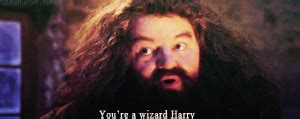 Wizard From Harry Potter Quotes. QuotesGram