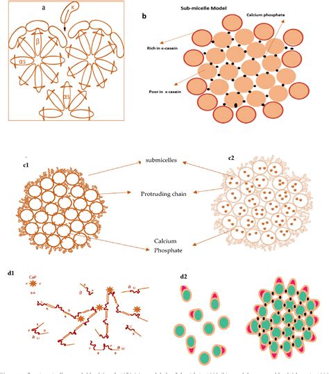 Figure 2 From Casein Micelles As An Emerging Delivery System For