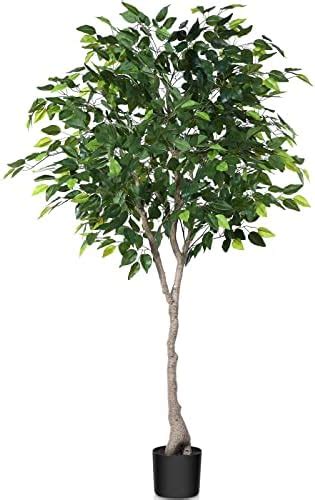 Amazon De Kazeila Kunstpflanze Ficus Benjamina Cm K Nstliche