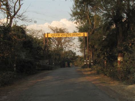 Destination Of The Week Dudhwa National Park Lakhimpur Kheri Up