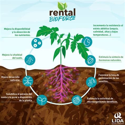 Biofertilizante Rental Bioforce Conoce Todas Sus Ventajas LIDA