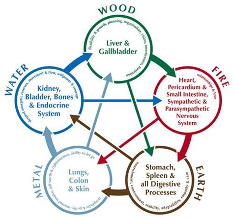 The Five Elements In Chinese Medicine Ping Ming Health