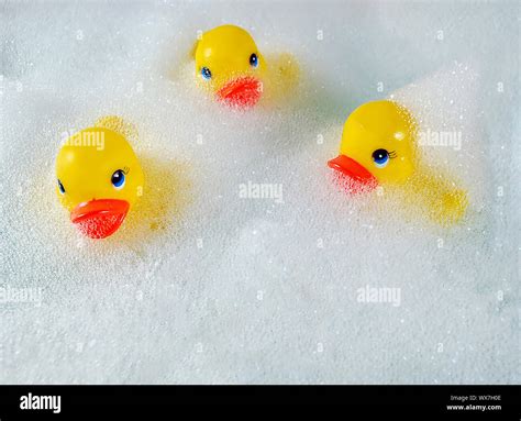 Yellow Rubber Ducks In Bubble Bath Stock Photo Alamy