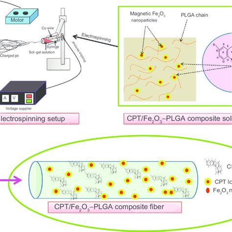 Represents The Preparation Of The Cptfe 2 O 3 Plga Composite Fibers