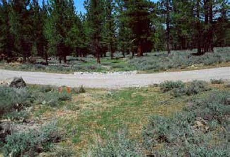 A Simple Rock Armored Ford In An Ephemeral Channel Coarse Rock Is