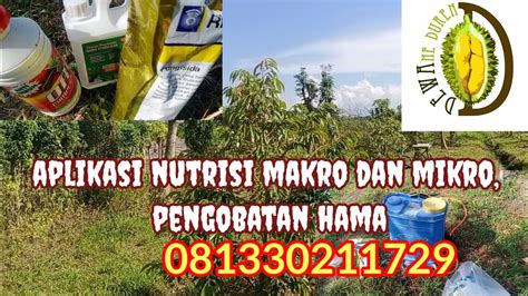 Cara Aplikasi Nutrisi Makro Dan Mikro Yang Baik Dan Benar Dewaneduren