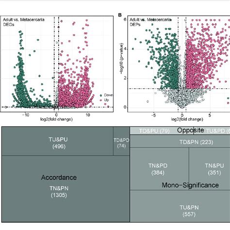 Differentially Expressed Genes Degs And Differentially Expressed