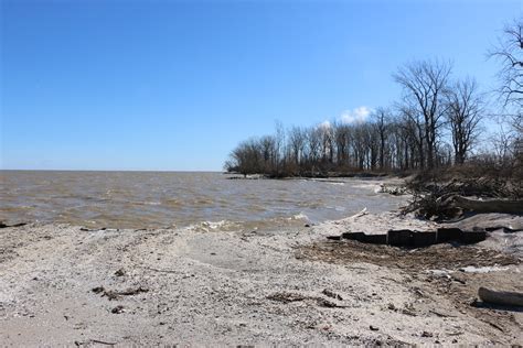 Michigan Exposures: A Trip to Magee Marsh Wildlife Area