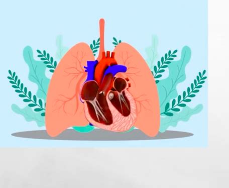 Learnt Anatomy Tutor Rima Talks About The Heart