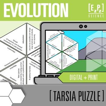 Evolution Vocabulary Activity Digital And Print Science Tarsia Puzzles