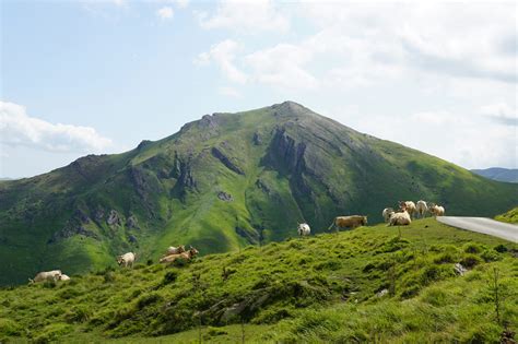 Qué ver en el valle de Aezkoa mucho más que la Selva de Irati