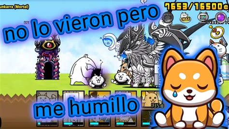 Gato Man Aco Me Humillaste Una Vez Pero No Volvera A Pasar