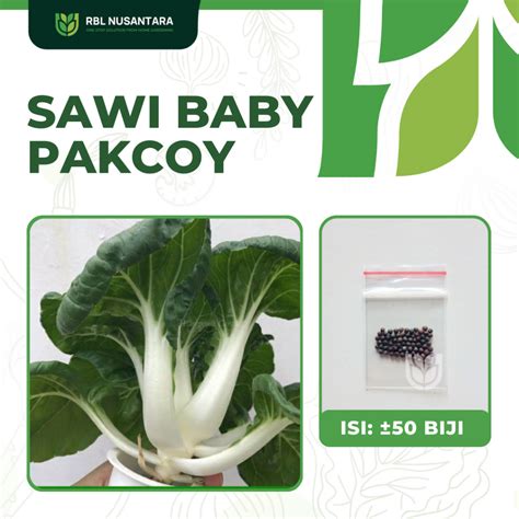 Jual Biji Benih Sawi Baby Pakcoy Nai Bai Sayuran Mini Toy Choy Known