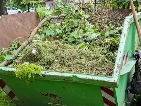 Container With Green Waste Recycling Yard Stock Photo Image Of Scythe