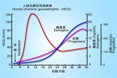 验孕棒一深一浅图解 正确测早孕显示“一深一浅”，是怀上还是没怀上？） 说明书网