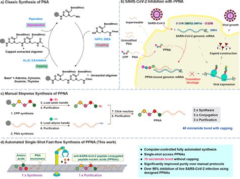 Automated Flow Synthesis Of PeptidePNA Conjugates ACS Central Science