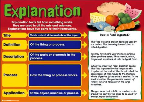 Referensi Jenis Teks Explanation Paling Lengkap Pelajaran Bahasa