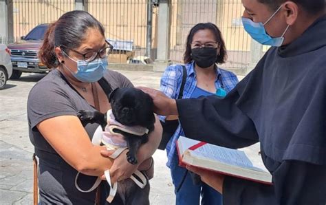 Vuelve La Bendici N De Mascotas En El Templo De San Francisco