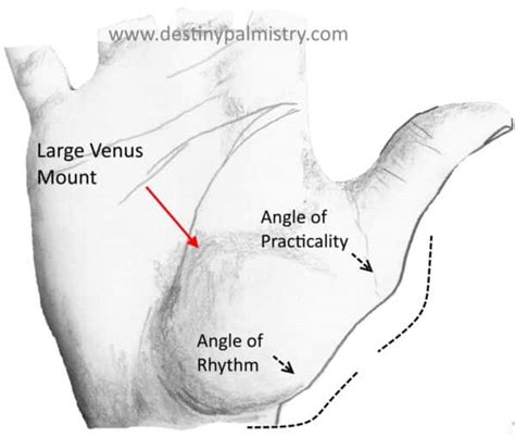 Venus Mount on the Palm Reveals Your Power - Destiny Palmistry