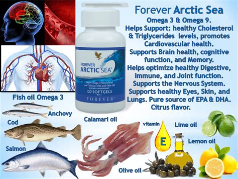 Forever Arctic Sea علی گالری