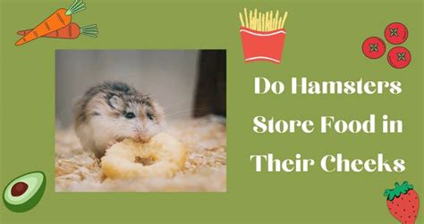 Do Hamsters Store Food In Their Cheeks