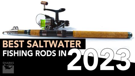 Best Saltwater Fishing Rods In Sharksinfo