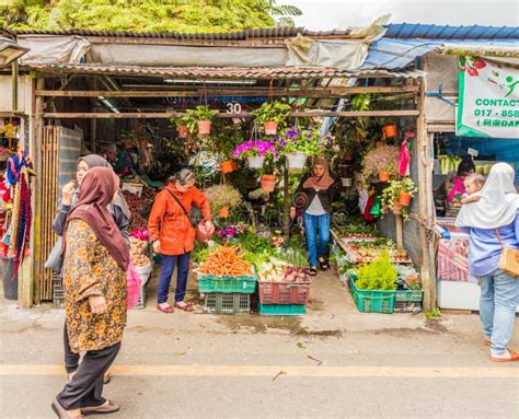 kea farm market  cameron highlands editorial stock photo image