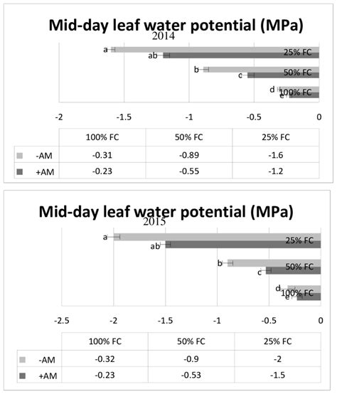 Effect Of Drought Stress And Mycorrhizal Inoculation On The Chlorophyll