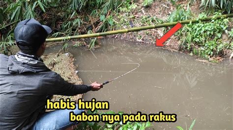 Mancing Wader Pas Di Air Keruh Sehabis Hujan Mantap Babon Lur Youtube