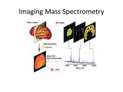 Ppt Mass Spectrometry Powerpoint Presentation Free Download Id 1799556