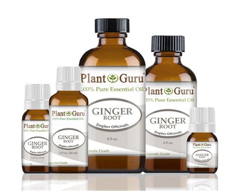 Ginger Root Essential Oil