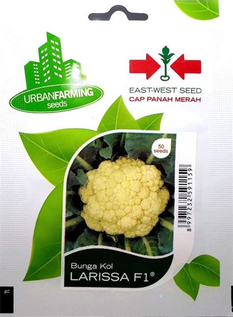 Benih Bunga Kol LARISSA F1 Panah Merah East West Seed Lazada