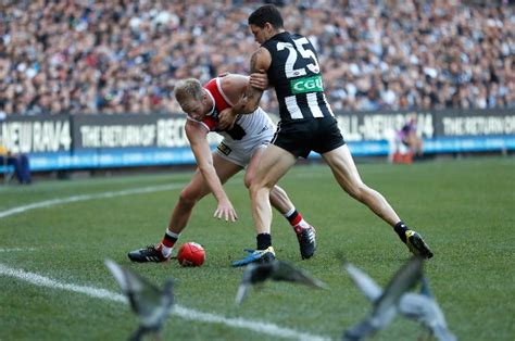 Collingwood Vs St Kilda Betting Tips Match Preview Bets Au