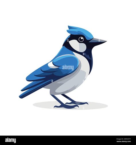 Cartoon Blue Tit Bird Isolated On White Background Vector Illustration