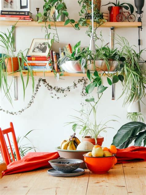 Escolhendo As Plantas Trepadeiras Certas Fazfácil