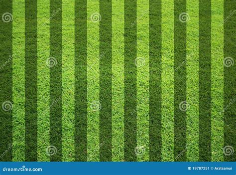 Blank Grass Field Stock Image Image Of Construction 19787251