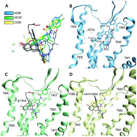 Comparison Of The Binding Modes Of Compound A And The Binding Modes Of